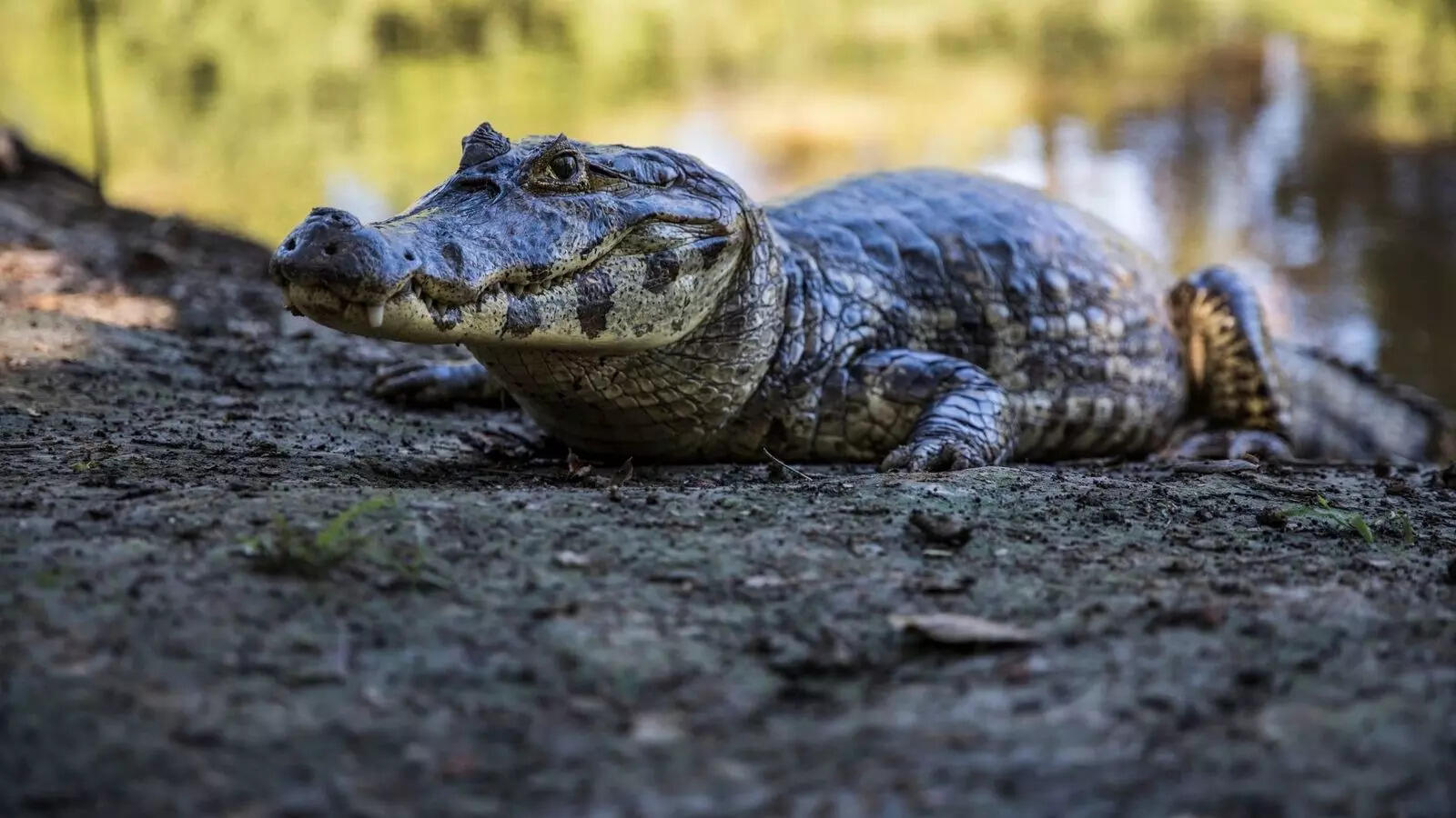 Image: Canva (for representative purposes only)