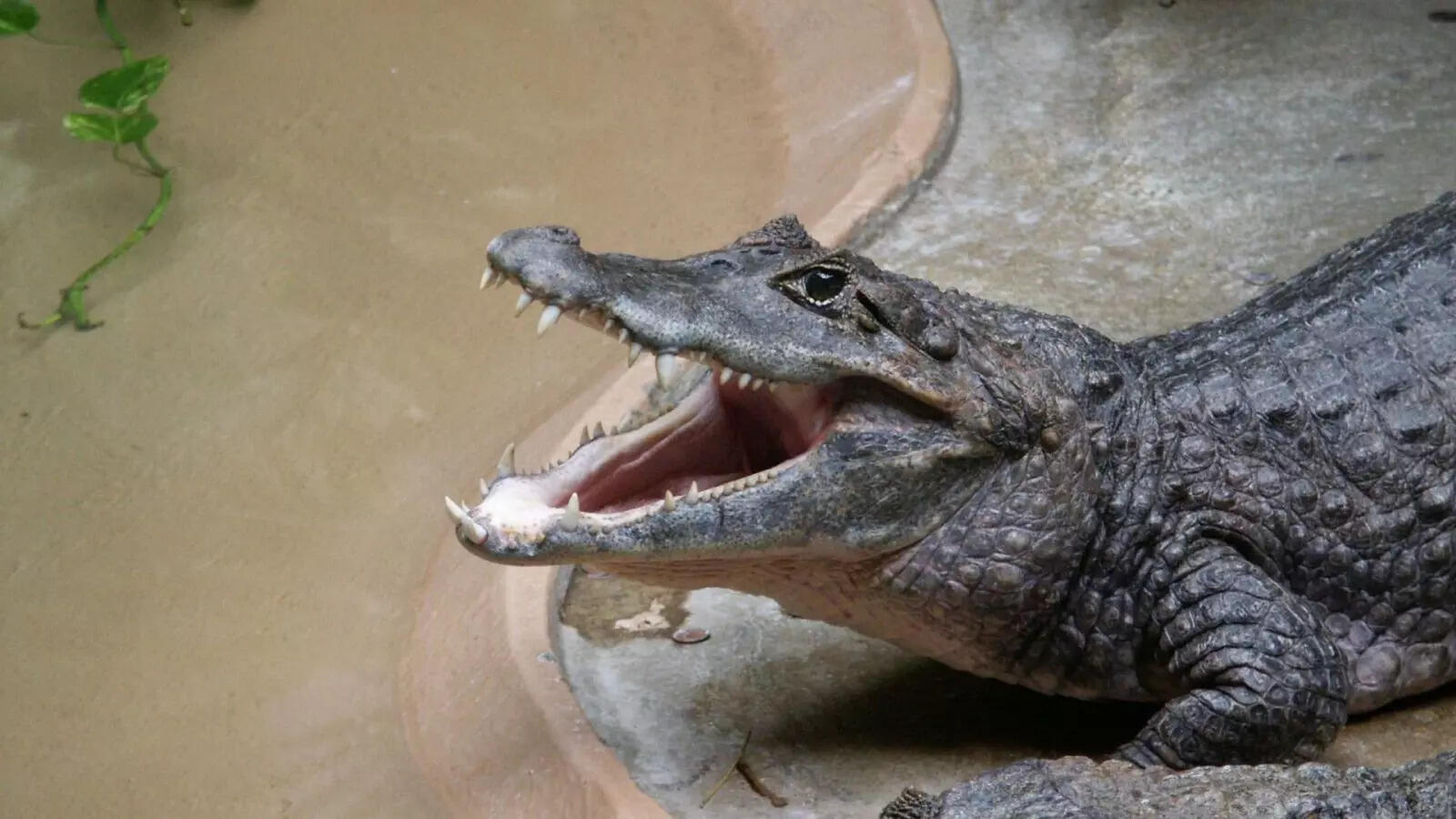 Image: Canva (for representative purposes only)