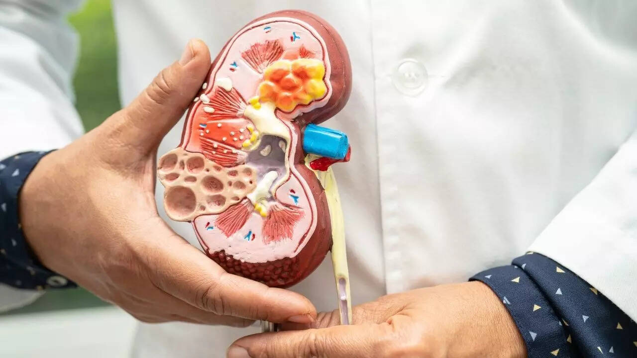 Image credits: Canva