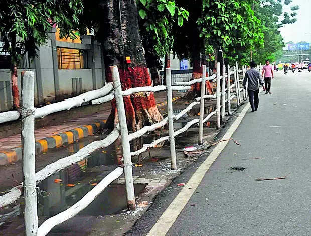 मोदी आज पटना में रोड शो करेंगे, भोजपुर और नवादा में चुनावी रैलियां करेंगे