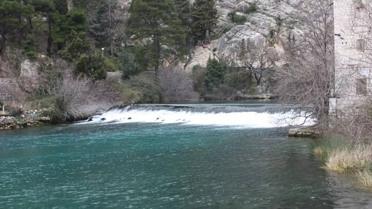 Ombla River