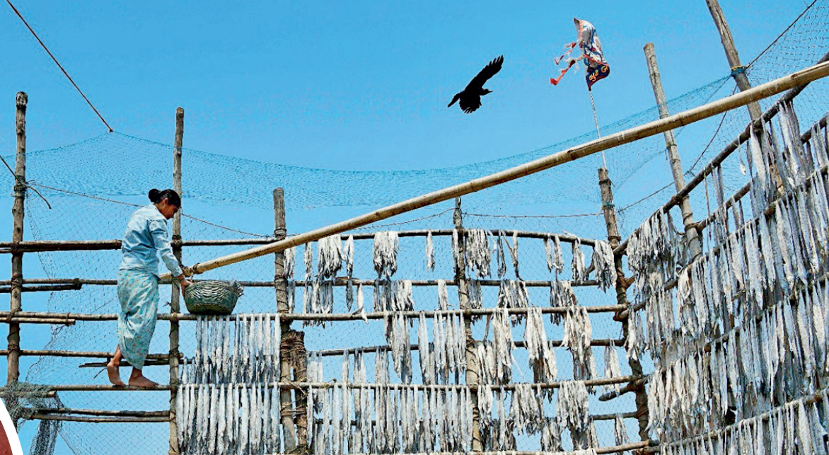 Women shoulder bulk of pre- and post-catch work