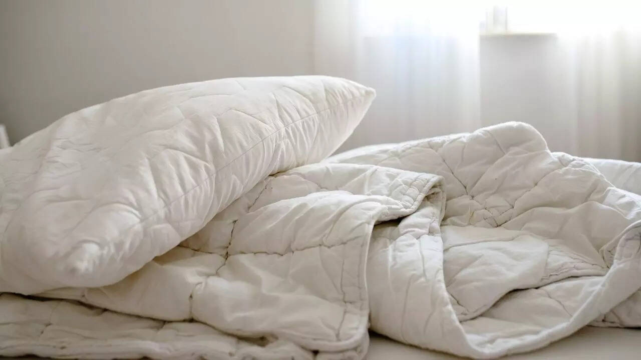 Image credits: Canva