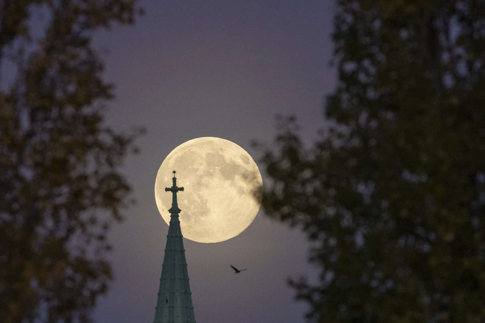 The full "beaver" super moon lights up the night sky on November 5, 2025 in Berlin, Germany. The Beaver full is the largest, closest and brightest super moon of 2025. (Photo by Maja Hitij/Getty Images) Super Beaver Moon