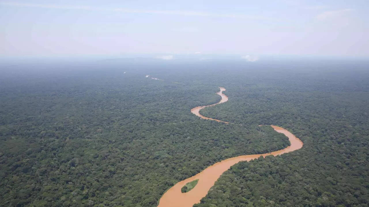 The Congo Rainforest