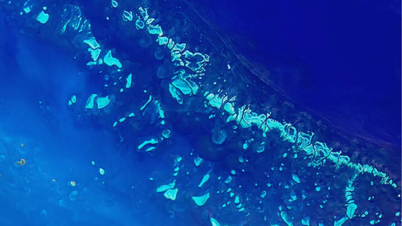 NOAA (National Oceanic and Atmospherical Administration) Great Barrier Reef as seen from space NOAA National Oceanic and Atmospherical Administration