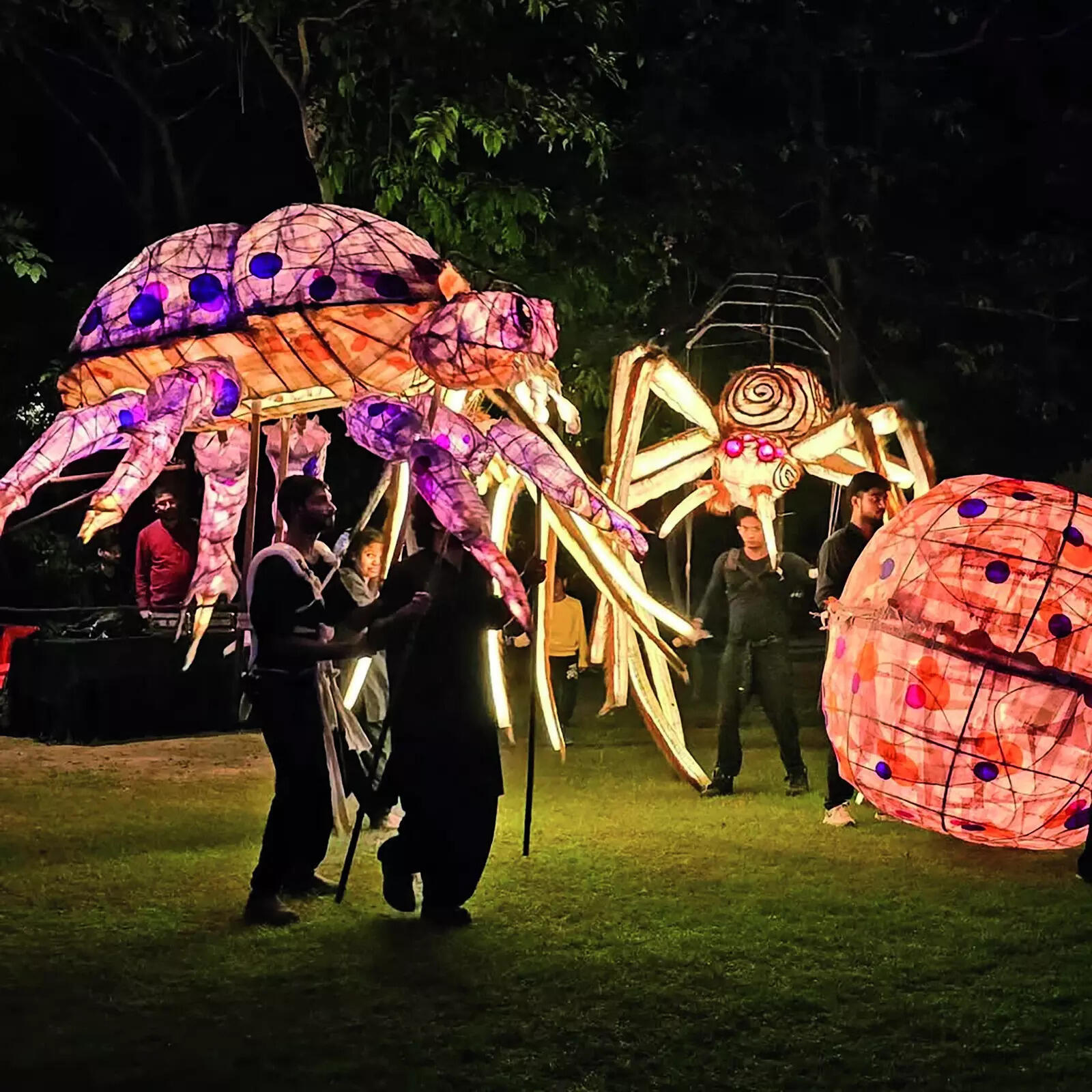 Anurupa Roy will bring her puppetry magic to AMI this year p3_ss_Anurupa