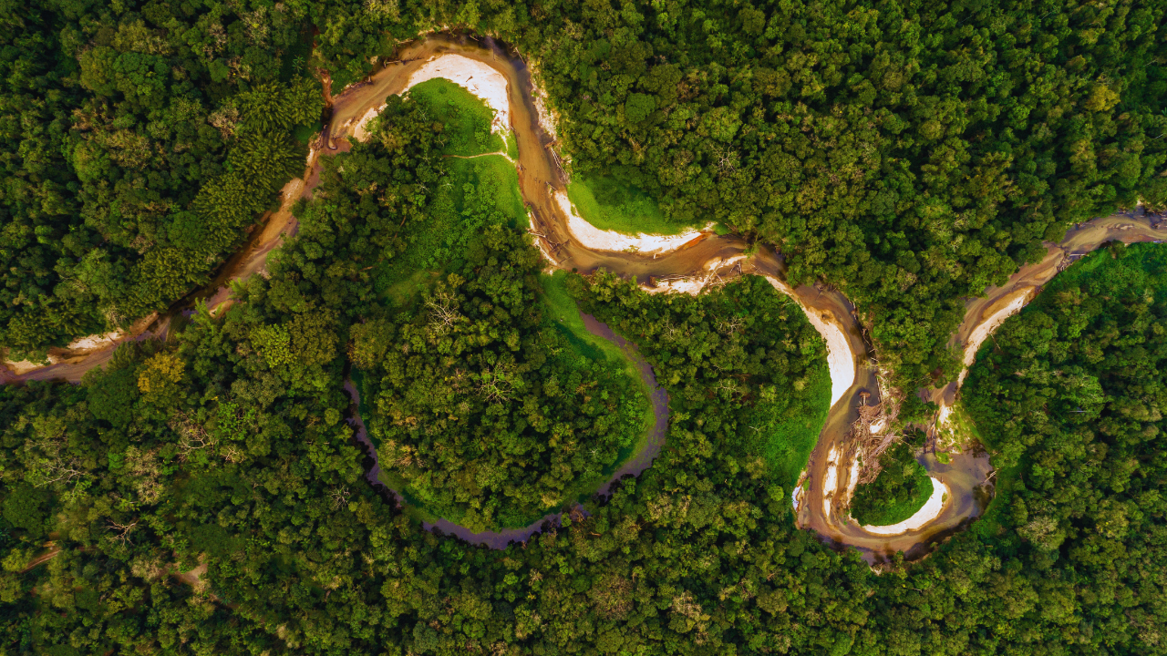 Amazon Rainforest, South America