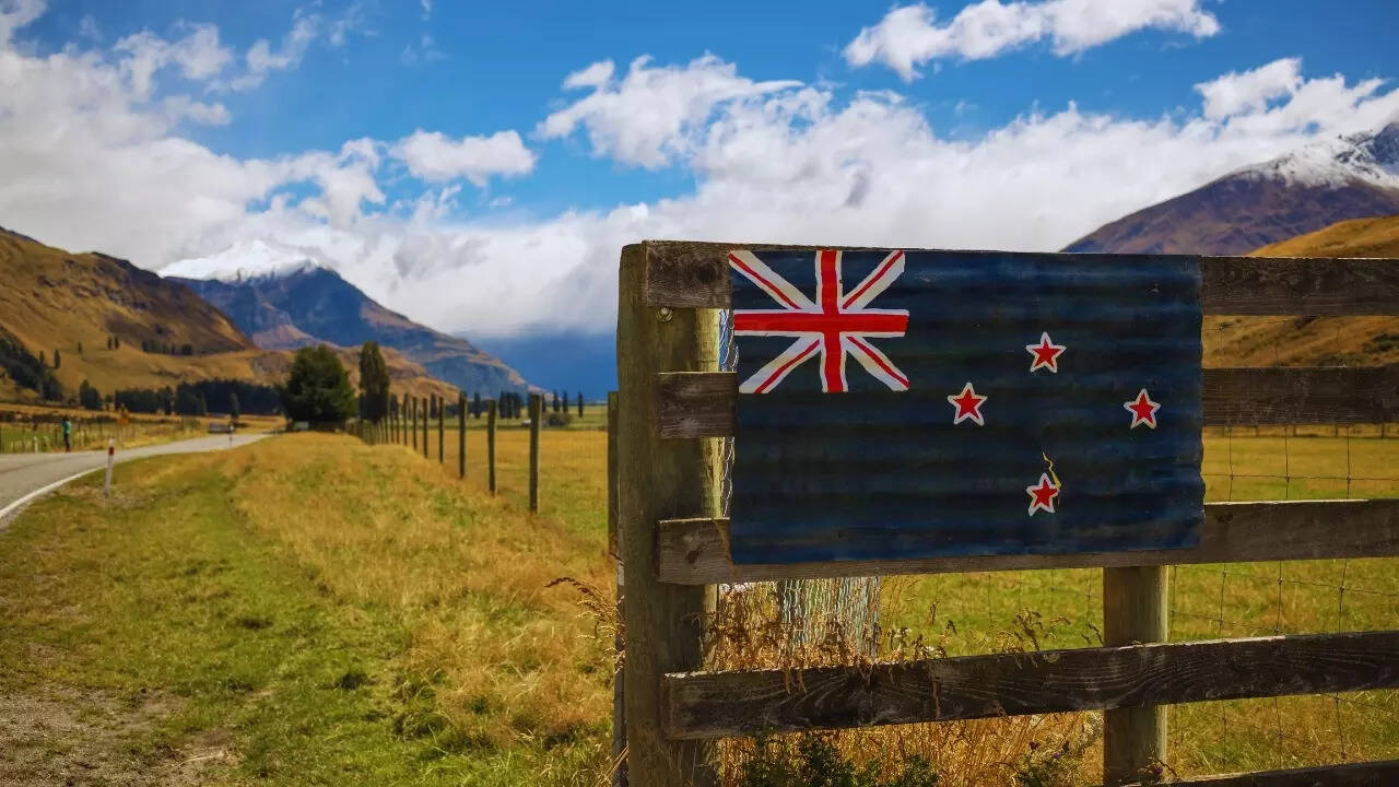 New Zealand countryside