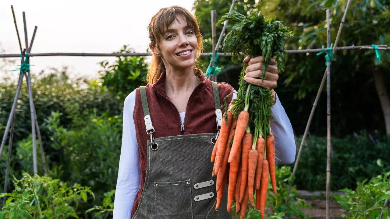 Choosing the right carrot seeds for home gardening