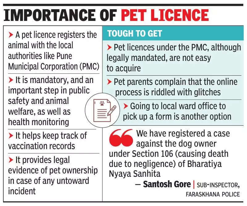 Chased by dog, scared electrician falls to death from third floor of Kasba Peth building