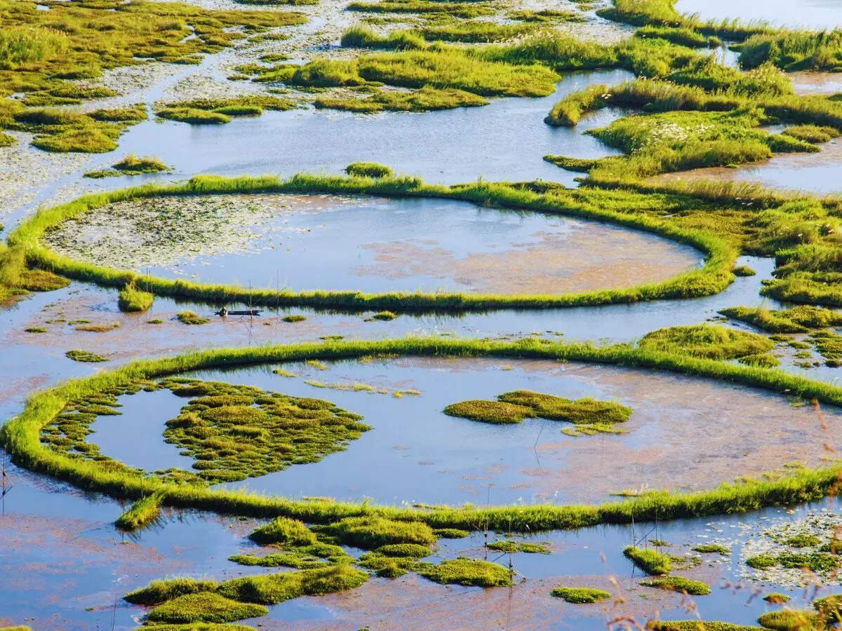 From floating park to tallest statue: Unbelievable world records held by India you probably did not know of! Loktak Lake, Manipur