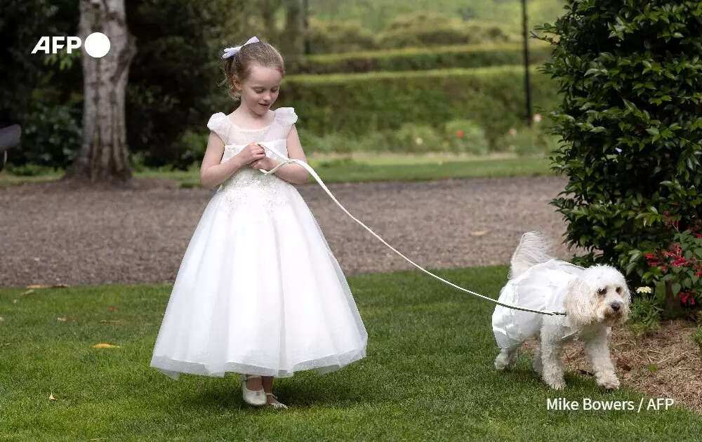 Jodie Haydon's niece with their dog Toto (AFP image)
