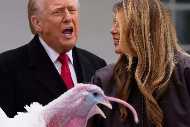 Trump and Melania stand next to national Thanksgiving turkey Gobble during a pardoning ceremony