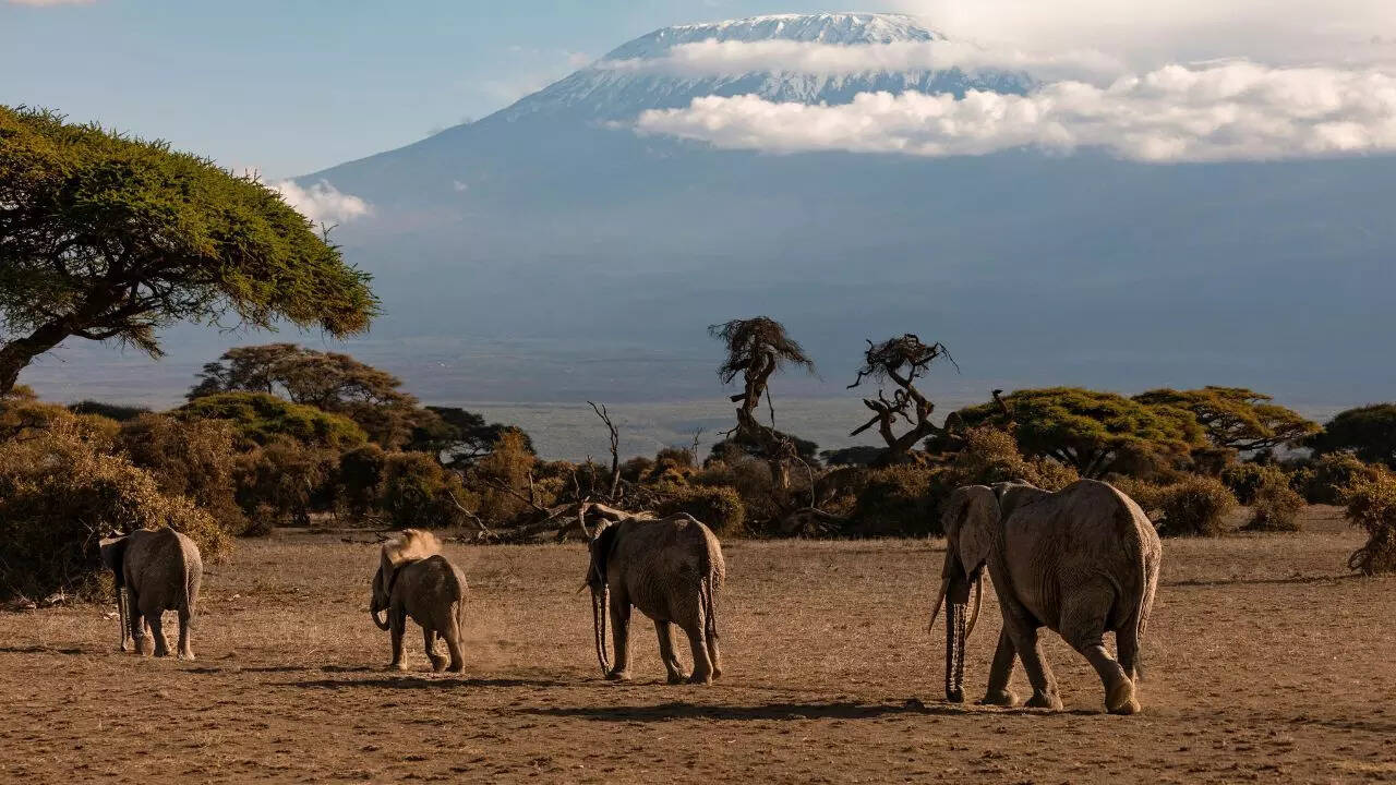 Mount Kilimanjaro