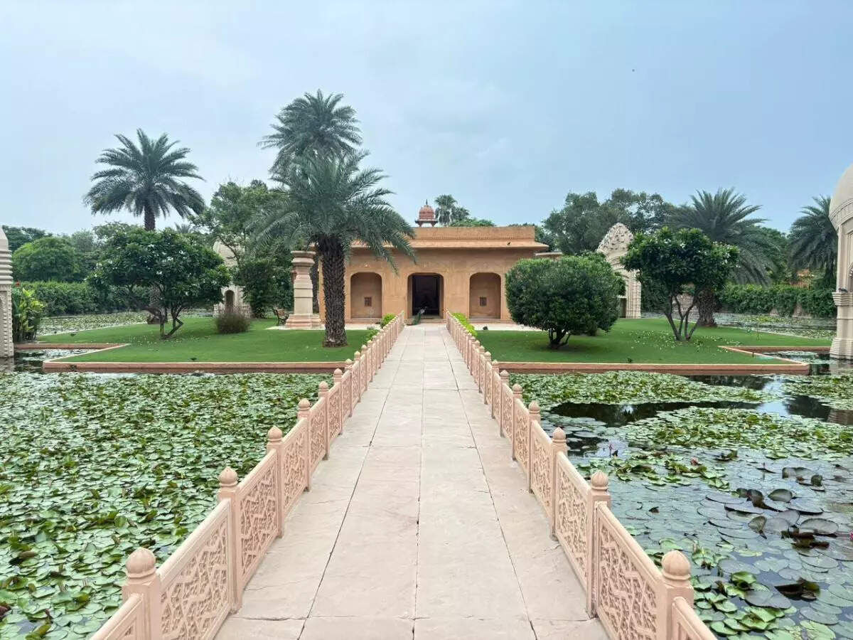 காட்சிகள்