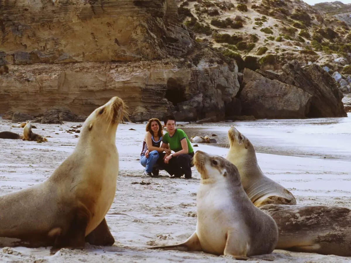 Kangaroo Island, South Australia