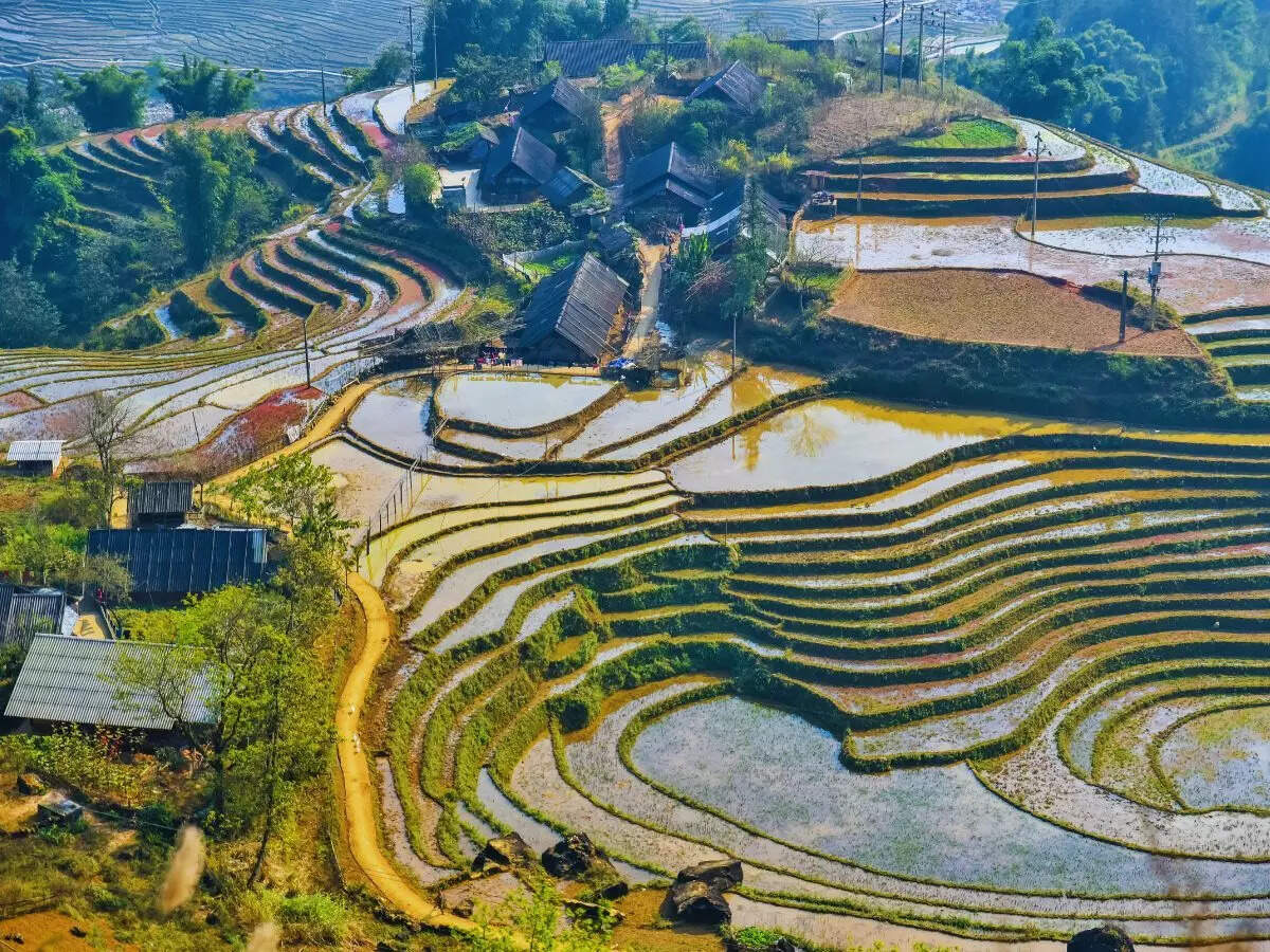 Sapa Valley, Vietnam