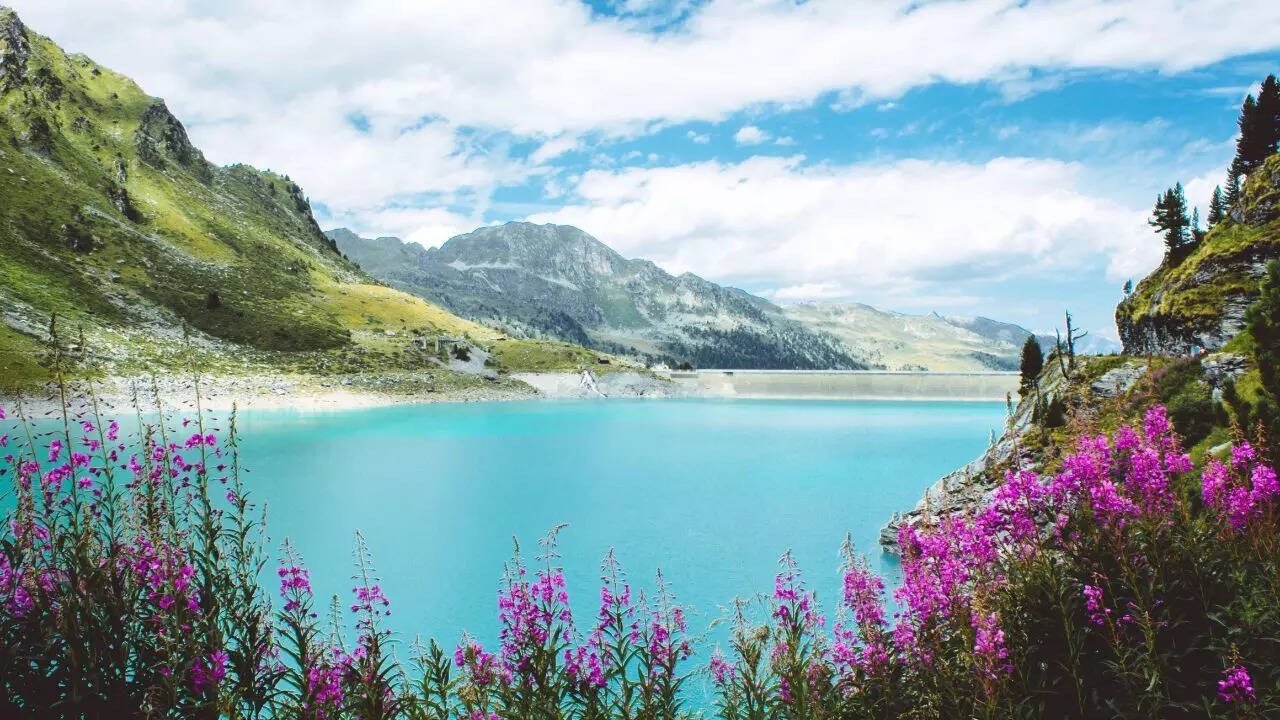 சுவிட்சர்லாந்து