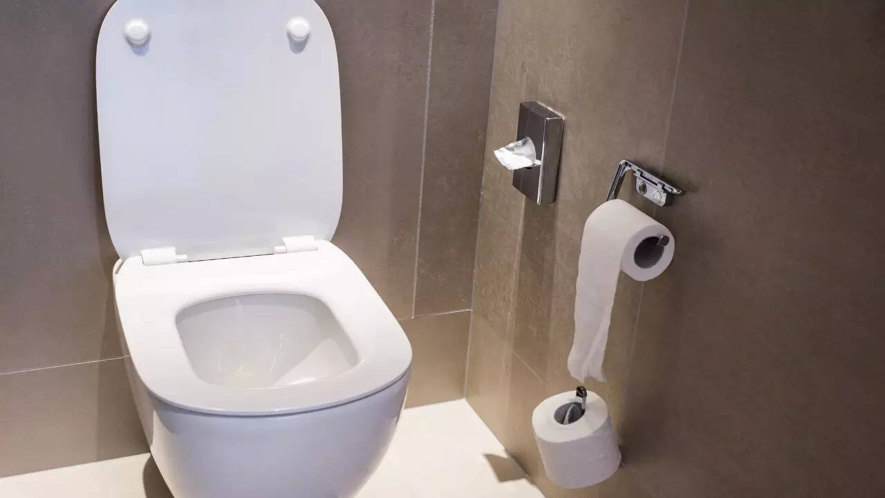 Should you keep the toilet seat lid up or down, depending on household type