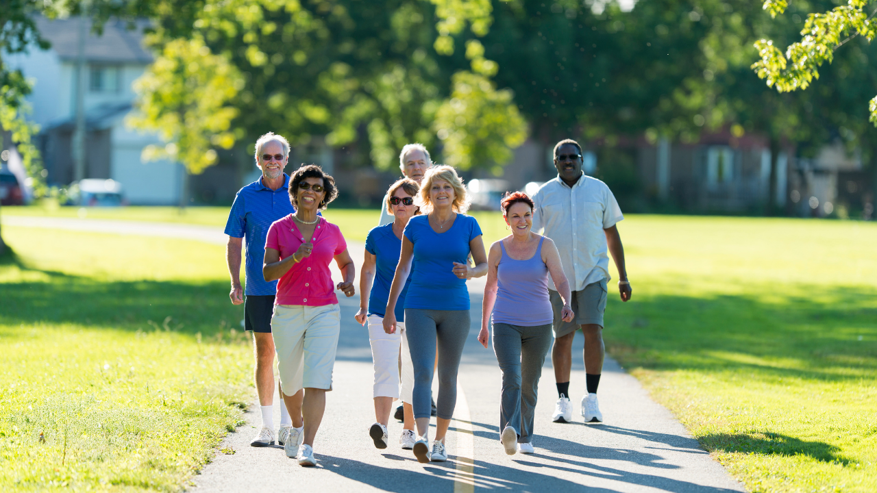 படம்: கேன்வா