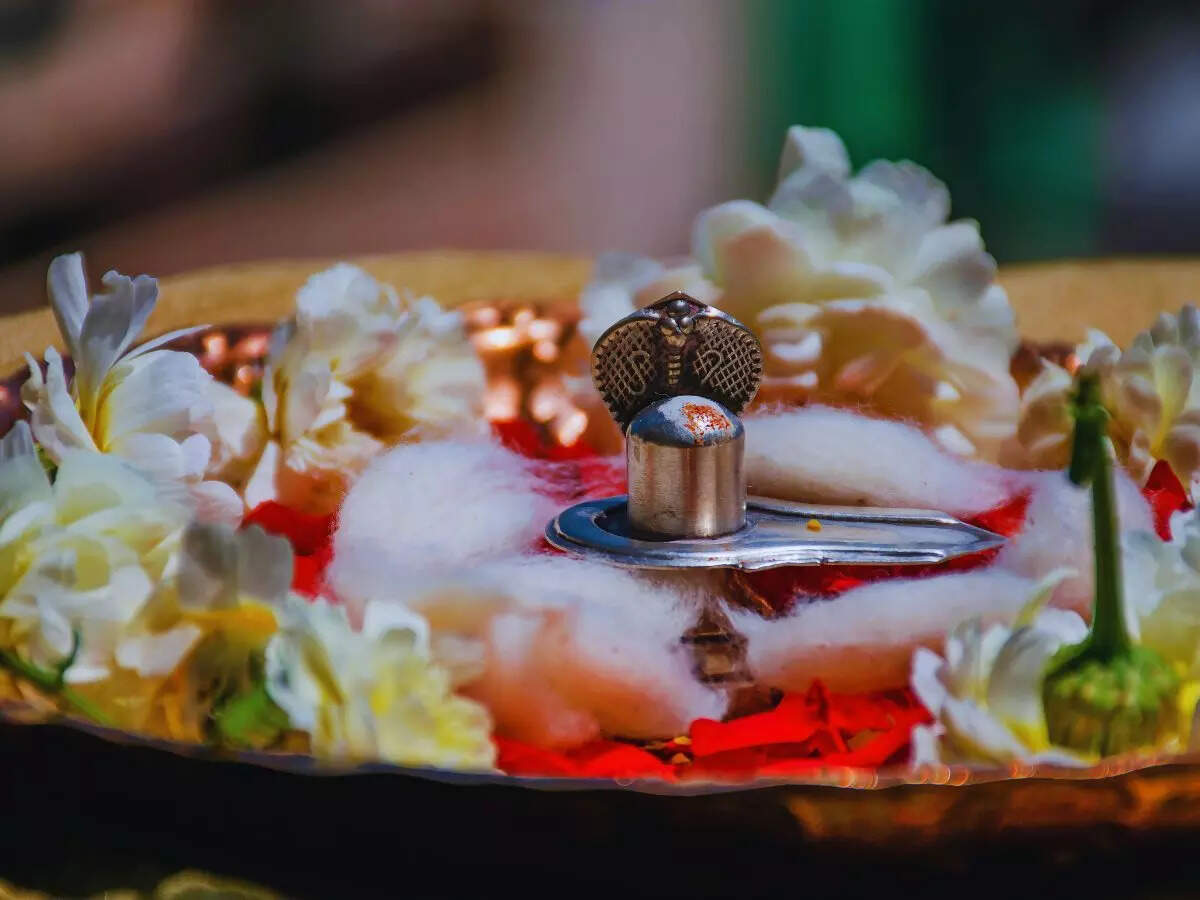 சிவலிங்கங்கள்