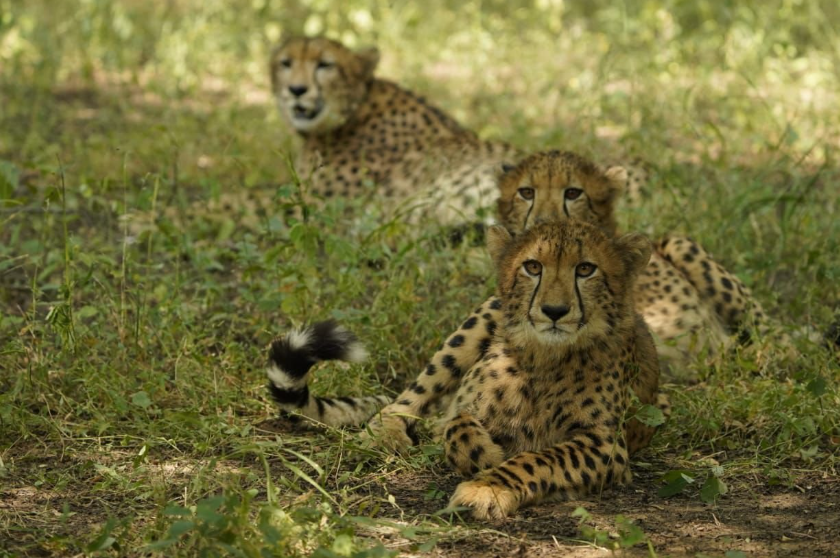 Screenshot 2025-12-04 095804