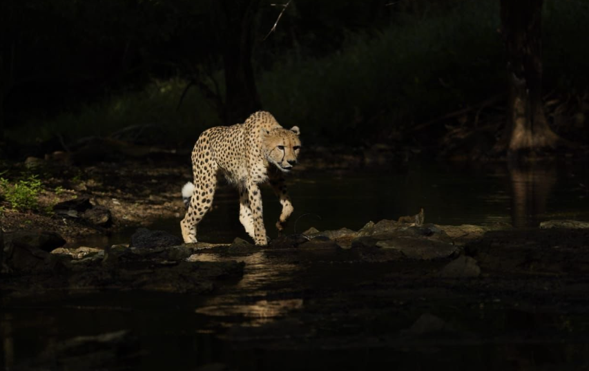 Screenshot 2025-12-04 095833