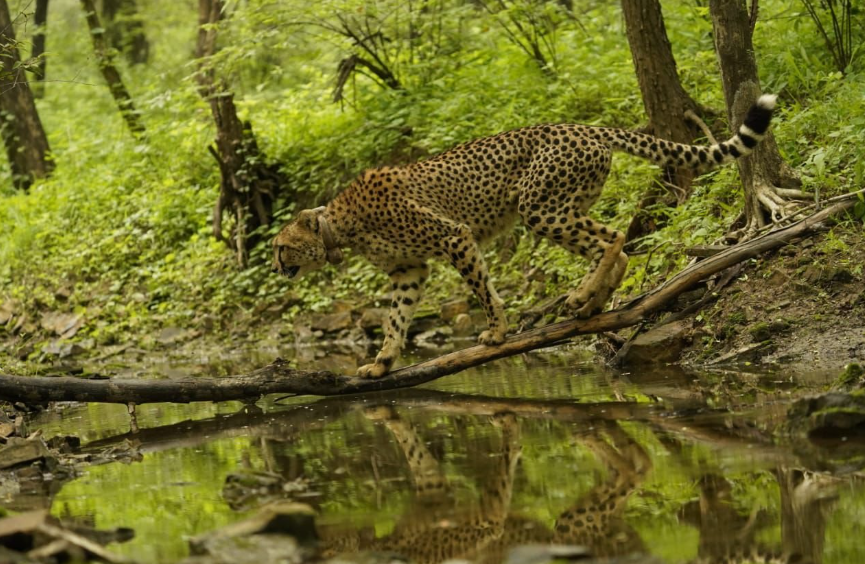 Screenshot 2025-12-04 095610