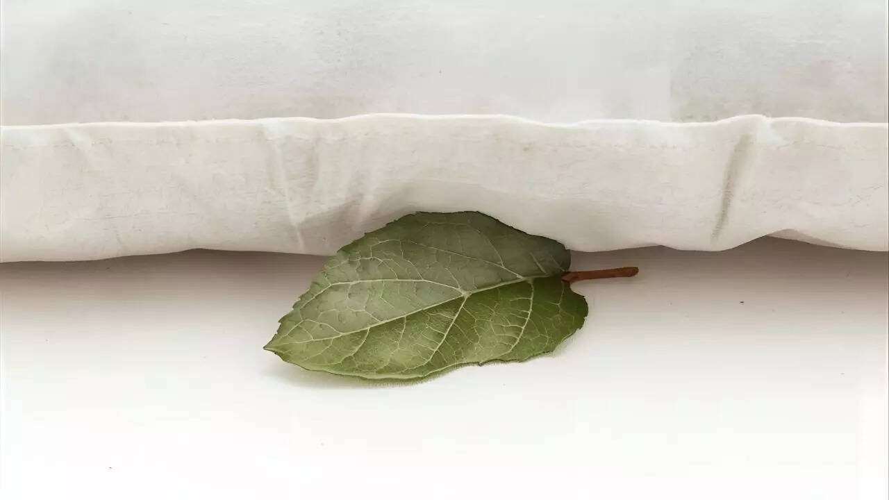 Why this calming bay leaf ritual is becoming popular