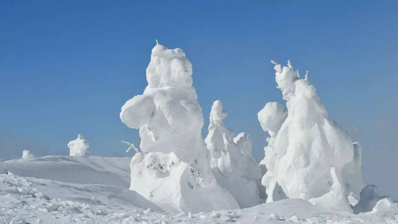 Snow monsters of Japan