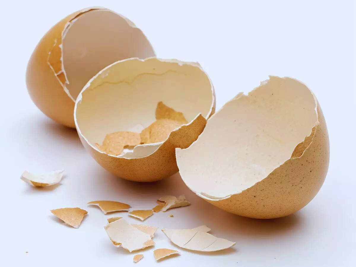 अंडे के छिलके