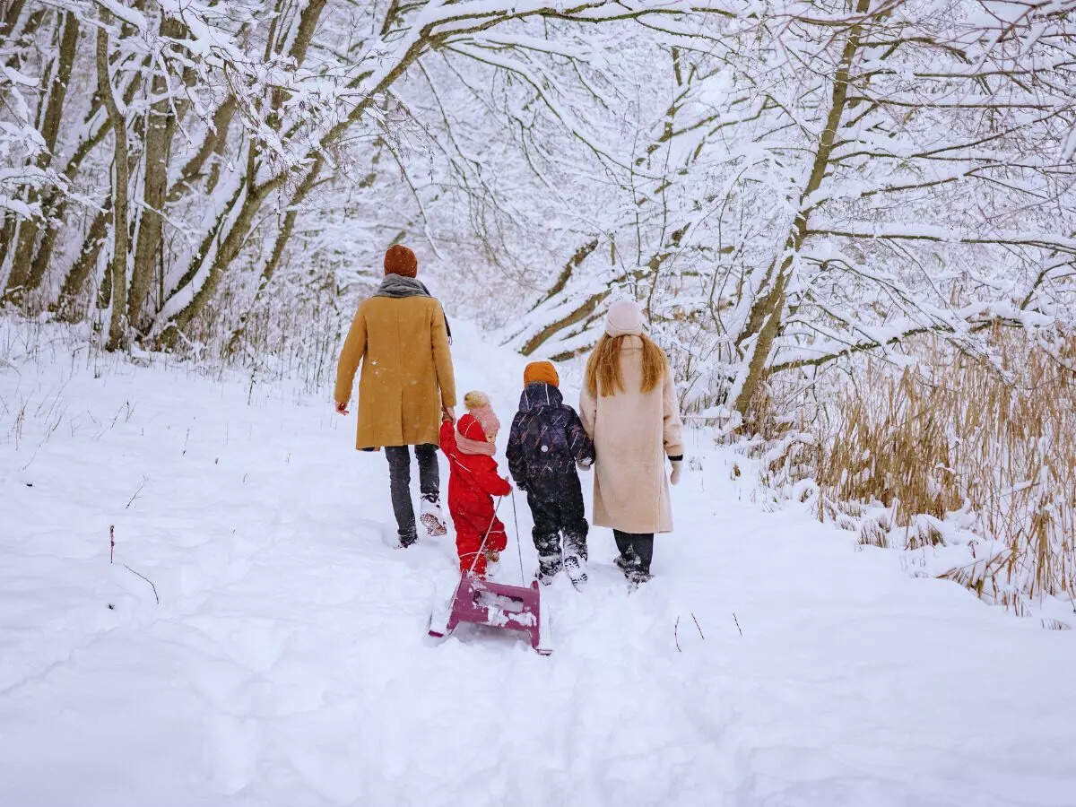 ஹார்பின், சீனா