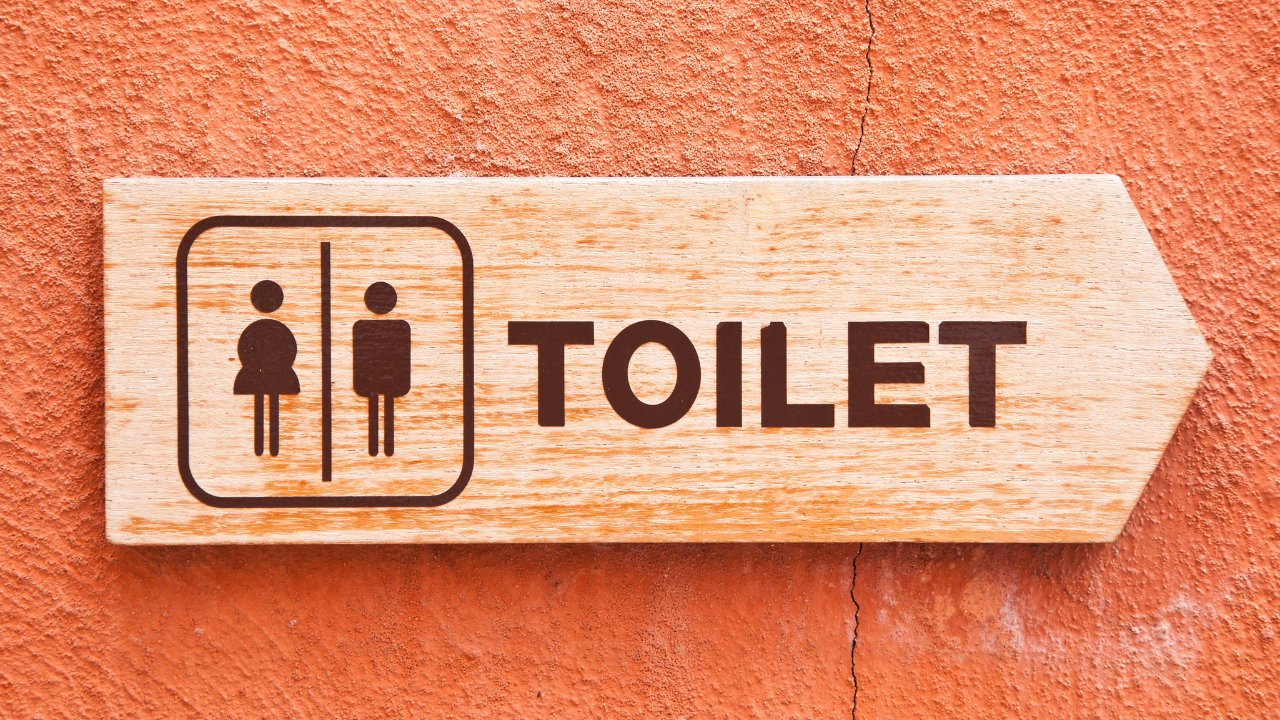 புகைப்படம்: கேன்வா