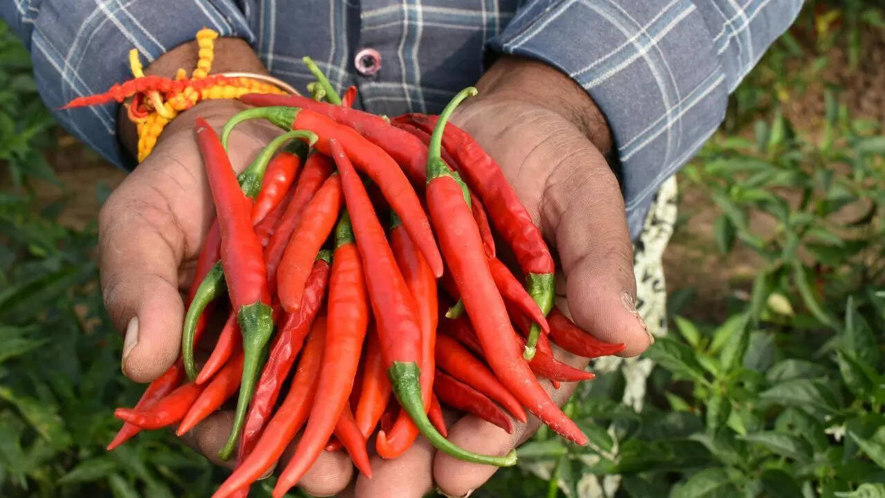 Why adding chillies to meals can improve warmth, digestion and metabolism in winter | 3 Why spicy food makes you feel warmer