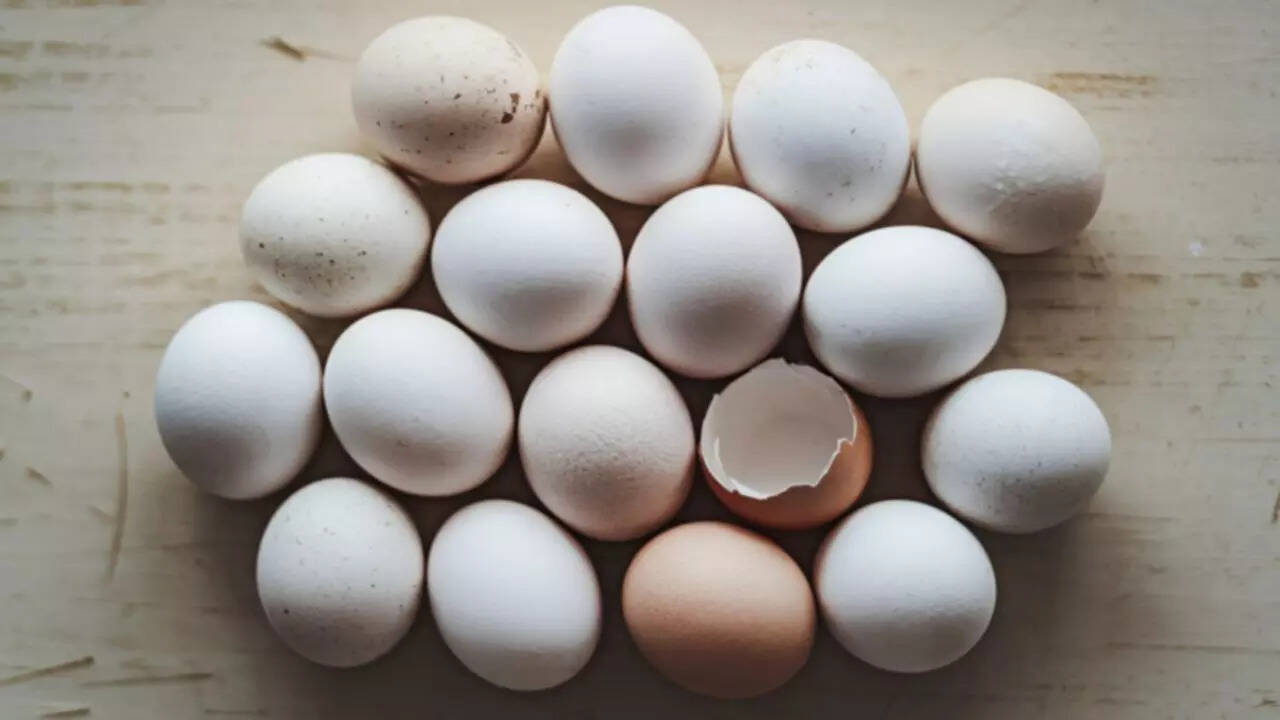 Look at the shell before you do anything else