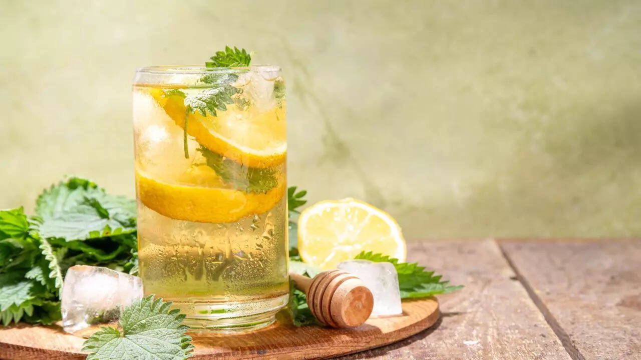 தொட்டால் எரிச்சலூட்டுகிற ஒருவகை செடி இலை தேநீர்