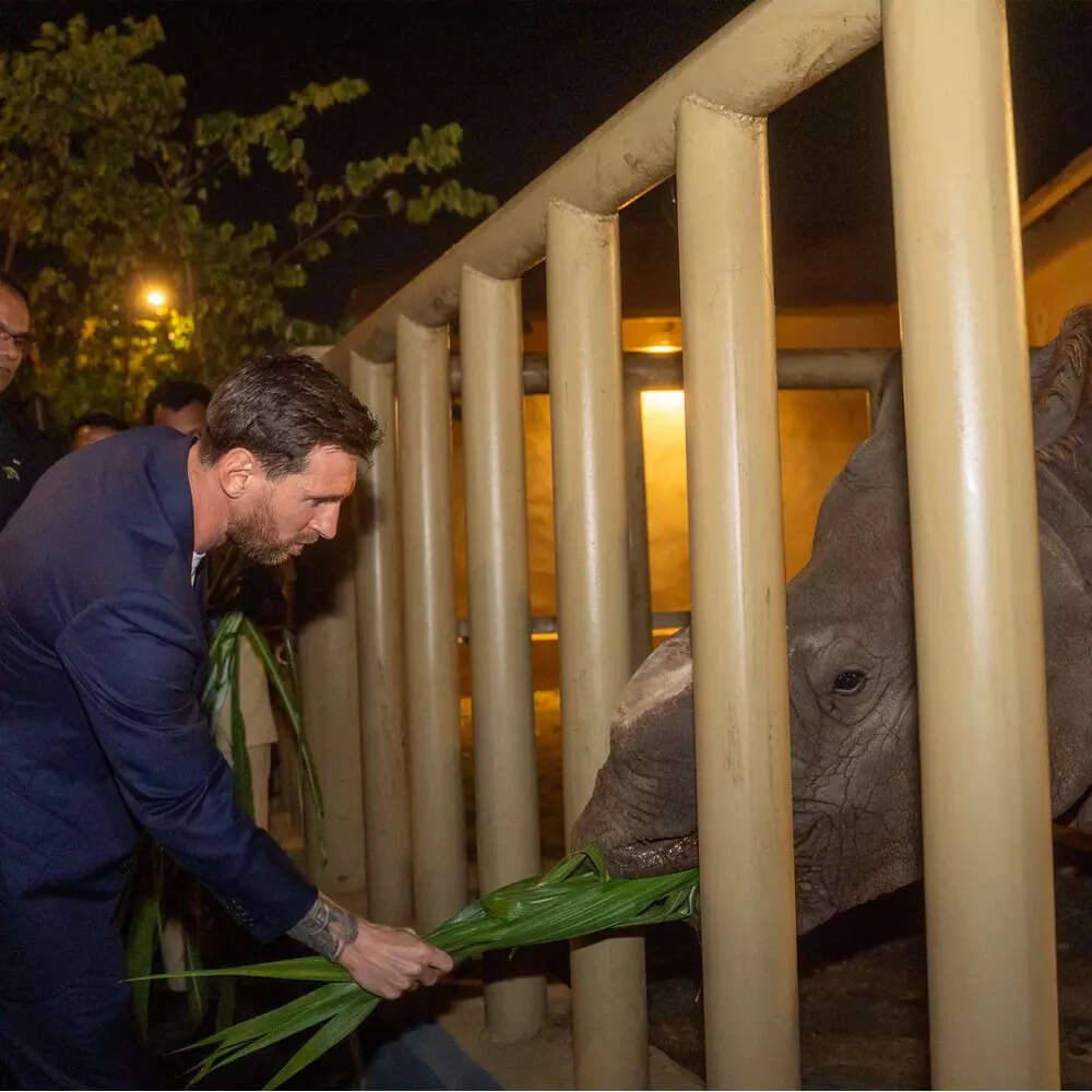 WhatsApp-Image-2025-12-18-at-14.22.37-(2)