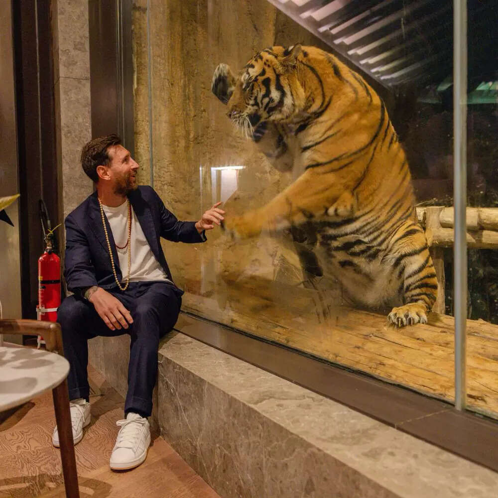 WhatsApp-Image-2025-12-18-at-14.22.40