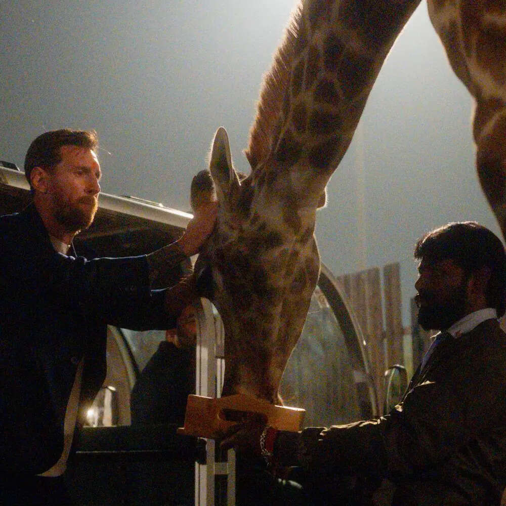 WhatsApp-Image-2025-12-18-at-14.22.37-(1)