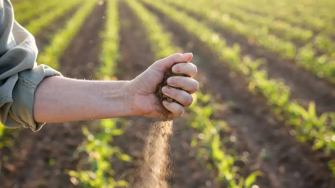 Food and climate (3)