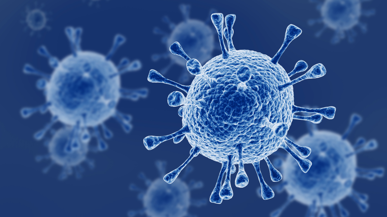 Representational image (Canva)