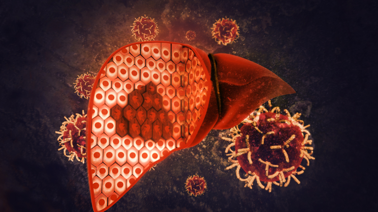 புகைப்படம்: கேன்வா