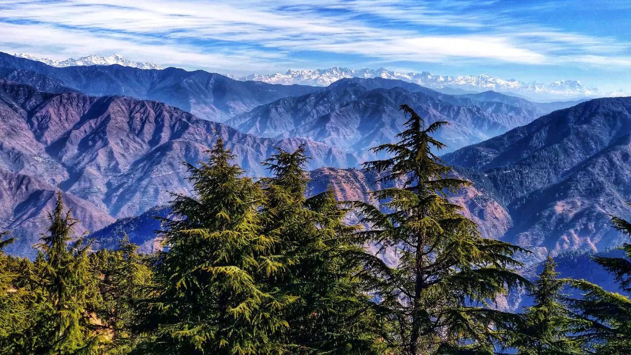 Dehradun, if you want flexibility and comfort