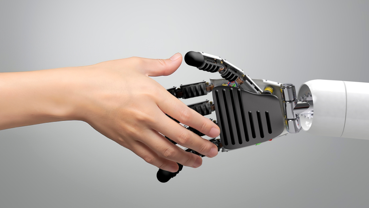 புகைப்படம்: கேன்வா