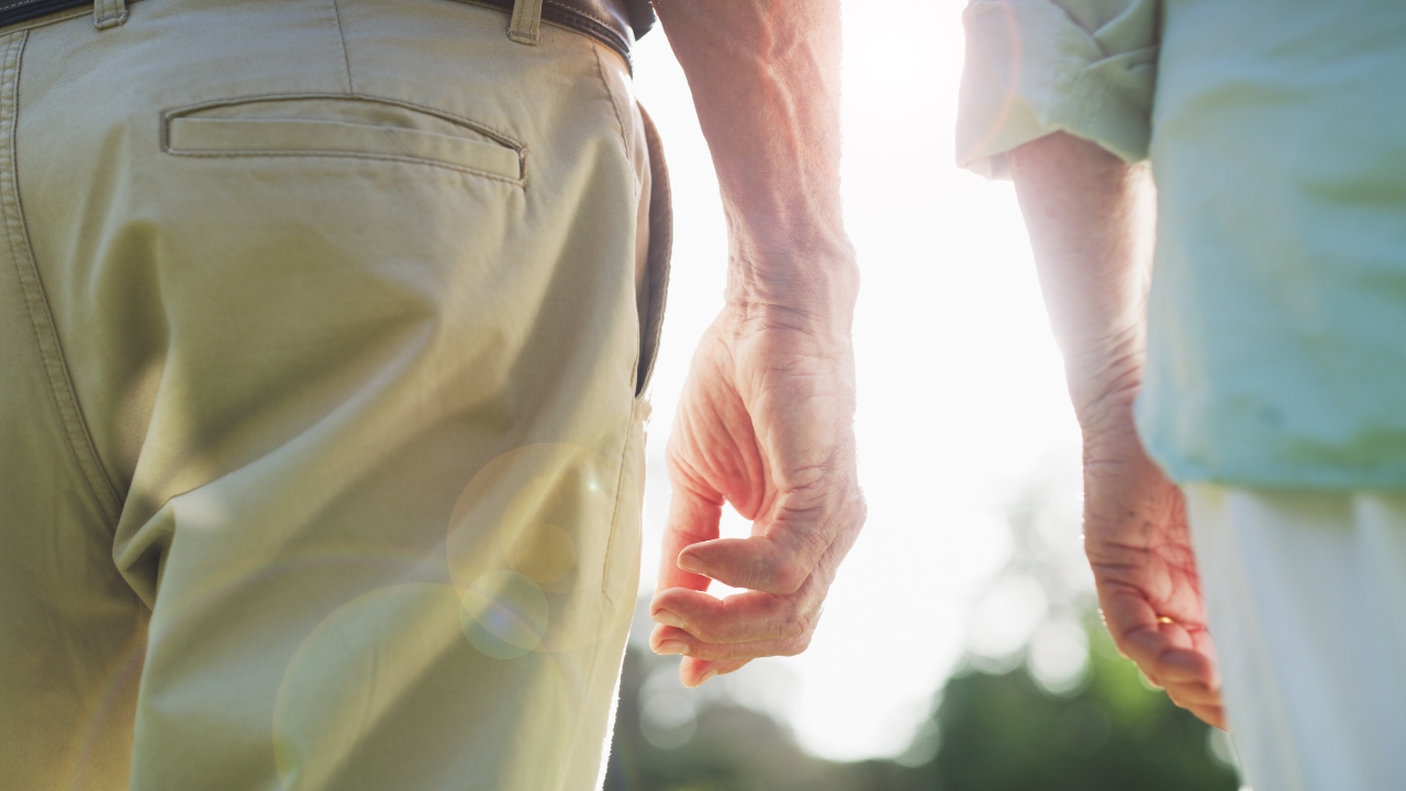 புகைப்படம்: கேன்வா