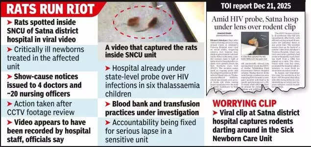 Hygiene scare at MP hospital: Video of rats inside neonatal unit goes ...