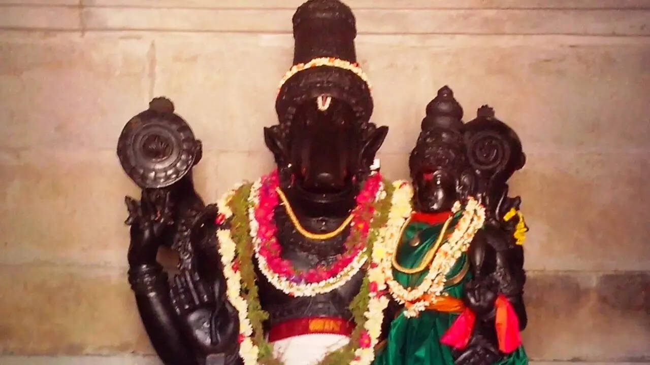Toi image_
