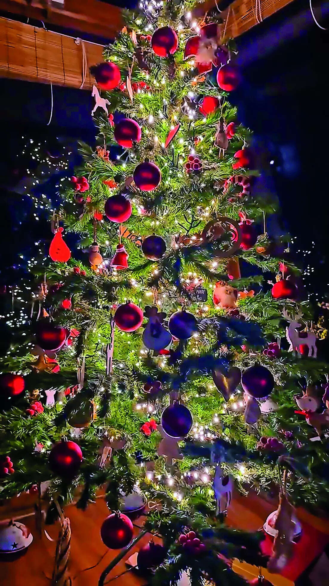 HT19Xmas_Dia Mirza-tree