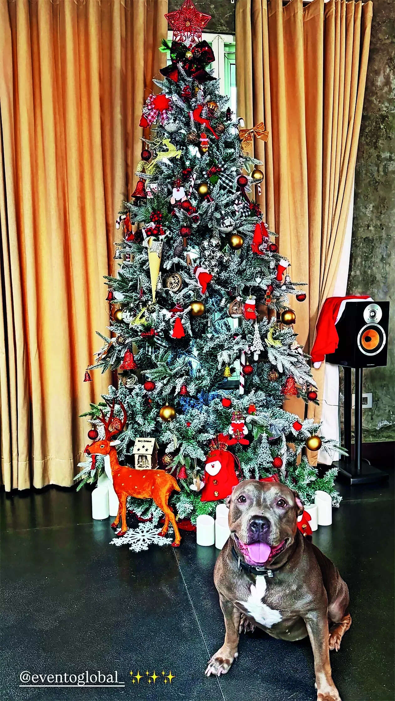 HT18Xmas_tree_Sam 1